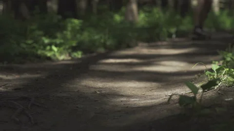 Skateboarder ride in forest Stock Footage 59319078