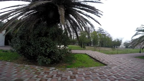Skateboarder rolls forward and performs tricks 스톡 동영상 94116765