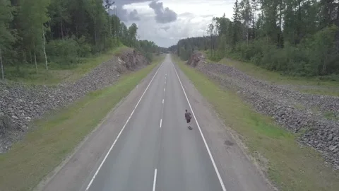 Skateboarding on an empty road between forests. Stock Footage 149108088