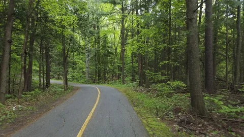 Skateboarding on path through a forest. 库存影片 111884154