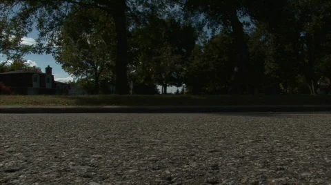 Skateboarding Rabbit Video stock 534087