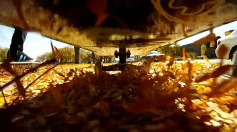Skateboarding through Fall Leaves #2 Stock Footage 22040488