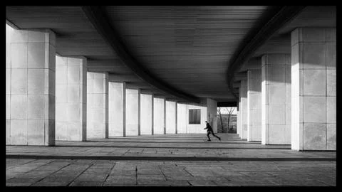 Skateboardist on the background columns Stock Photos