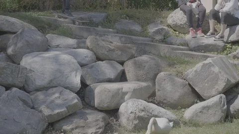 Skater with swan 動画素材 107160859
