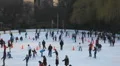 Skating in Central Park Video HD