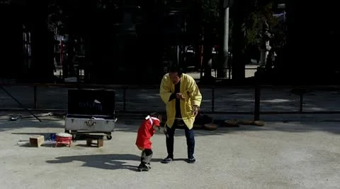 Skating Monkey Street Performance in Japan Stock Footage 10699609