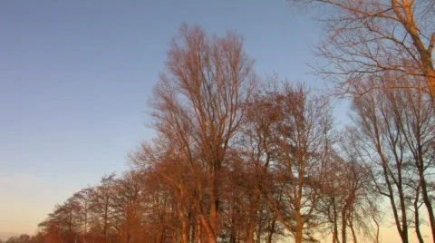 Skating on natural ice 7 Stock Footage 323319