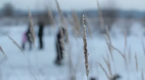 Skating on pond Stock Footage 20478769
