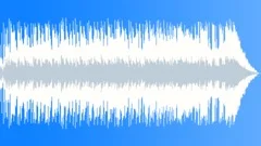 Skating Rink For Cowboys (30 Second)Stock Music