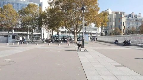 Skating in slow motion Stock Footage 98845470