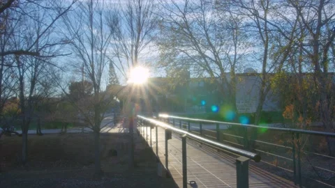Skating on sunshine Stock Footage 233110342