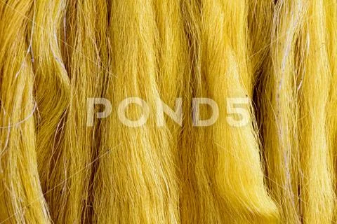 Skeins of golden raw silk in final stage of processing Stock Photos