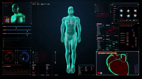 Skeletal, blood vascular system inside scanning Human in digital display. Stock Footage