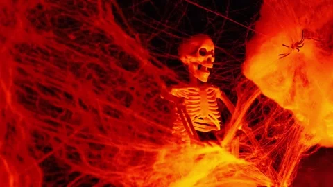 Skeletal decor in a web in an eerie red light. Stock Footage 317106917