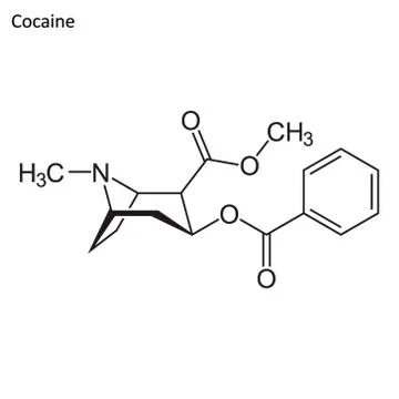 Skeletal formula of Cocaine Illustration
