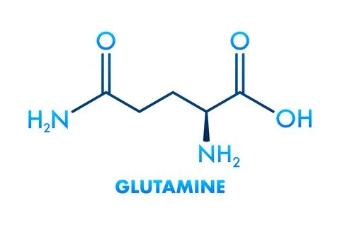 Skeletal formula of glutamine, chemical structure representing an amino acid Illustrazione stock