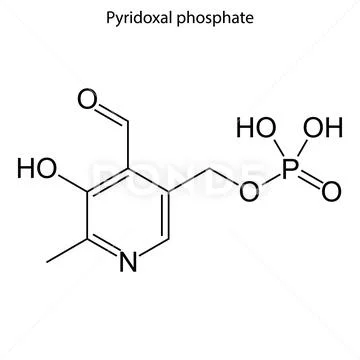 Skeletal formula of molecule. 스톡 일러스트
