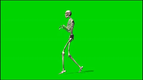 Skeletal slink - isolated green screen footage 1 Stock Footage 33646593