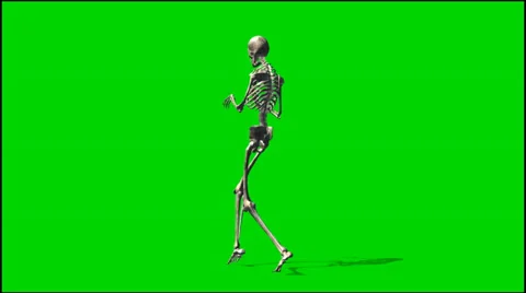 Skeletal slink - isolated green screen footage 3 스톡 동영상 33646887