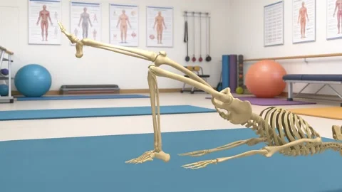 Skeletal System Glute Bridge Exercise Close Up Gym Clinic Vidéo 337476654
