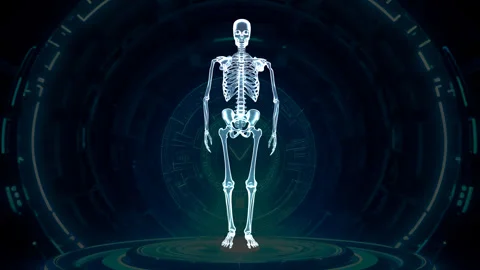 Skeletal System Walking Front View Hologram Stock Footage 329294099