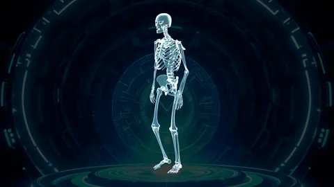 Skeletal System Walking Perspective Hologram Stock Footage 329294120