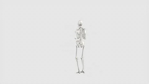 Skeleton 03 Video stock 220043757