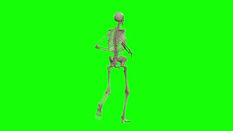 A skeleton 3D character running and rota... | Stock Video | Pond5