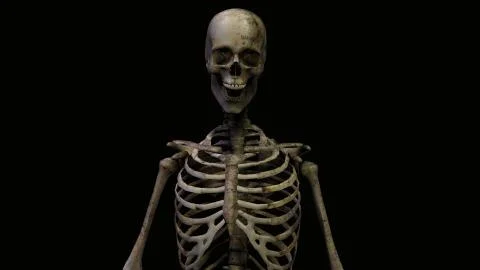 Skeleton 3D torso black background for Corona virus or else Stock Illustration