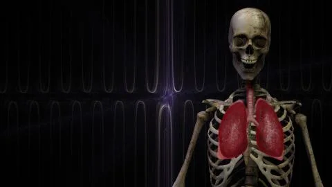 Skeleton 3D torso with lungs and abstract fractal line art background Stock Illustration