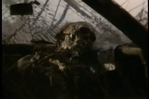 Skeleton in abandoned car Vídeos de archivo 11354654