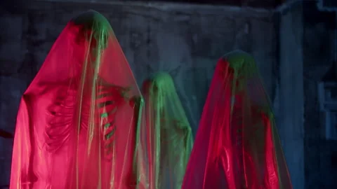 Skeleton Anatomical Models Under Plastic Stock Footage 250020227