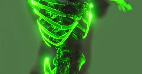 Skeleton anatomy with glowing elements emphasizes human skeletal structure Stock Illustration