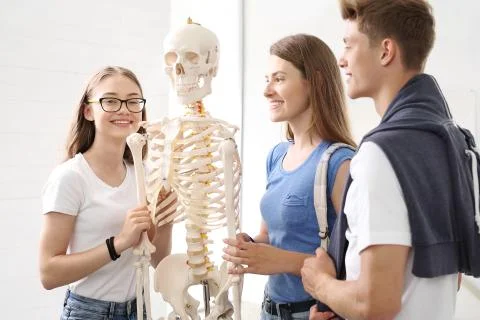 Skeleton, anatomy students in class Foto stock