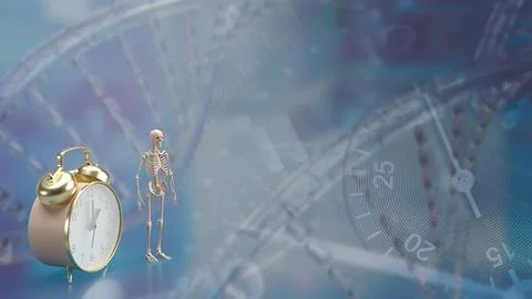 The skeleton and alarm clock for sci or medical concept 3d rendering.. Stock Photos