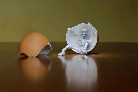 Skeleton and eggs Stock Photos