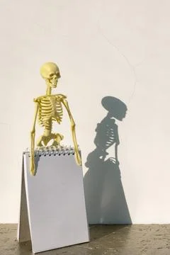 Skeleton and notebook on table, copy space, template Stock Photos