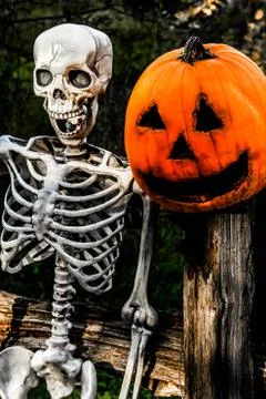 Skeleton and Pumpkinhead 1 Stock Photos