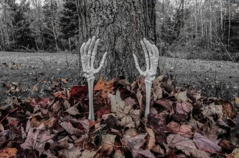 Skeleton Arms Reaching Out From Fall Leaves Photos