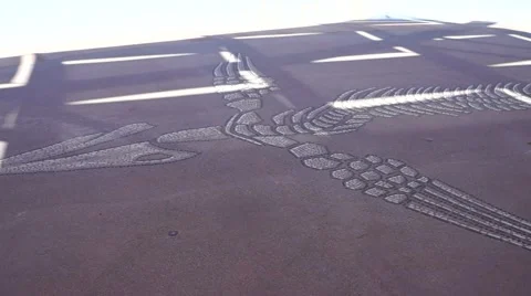 Skeleton Art - Mosaic Ichthyosaurus Stock Footage 40241846