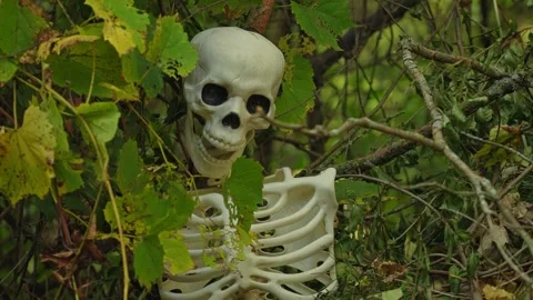Skeleton attached to the bush tree branches and leaves moves in the wind. H.. Stock Footage 314613715