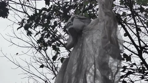 Skeleton on the background of trees during Halloween.  Stock Footage 220358721