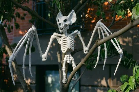 Skeleton bat decor hangs from a tree branch in a vibrant urban setting during Stock Photos
