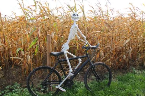 Skeleton on a Bike. Stock-Fotos