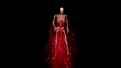 Skeleton with Blood Dripping Stock Footage 248788915