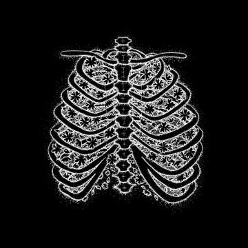 Skeleton with Blossom over Black Ilustração Stock