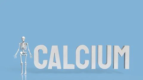 The Skeleton on blue Background for calcium concept 3d Rendering. Stock Photos