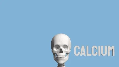 The Skeleton on blue Background for calcium concept 3d Rendering. Stock Photos