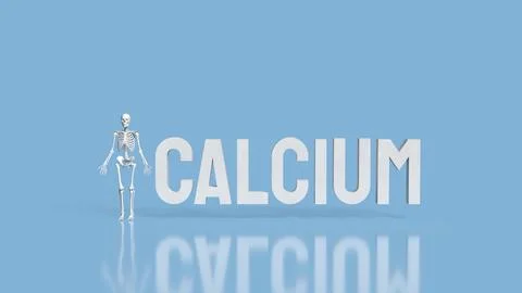The Skeleton on blue Background for calcium concept 3d Rendering. Stock Photos