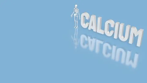 The Skeleton on blue Background for calcium concept 3d Rendering. Stock Photos